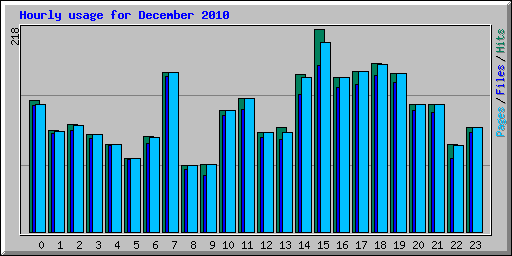 Hourly usage for December 2010